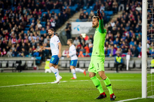 Goalkeeper Vid Belec of Slovenia