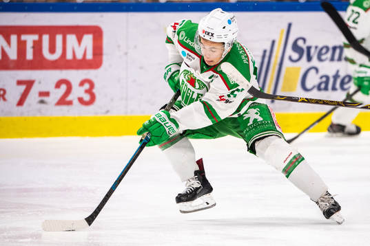 Rögles Leon Bristedt