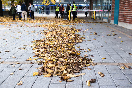 Lövhög utanför Hovet