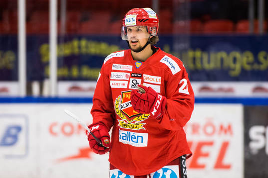 .. under ishockeymatchen i Hockeyallsvenskan mellan Almtuna