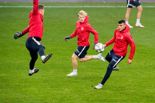 Mats Møller Dæhli and Mohamed Elyounoussi of Norway