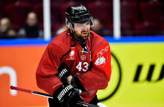 Nichlas Hardt of Malmö Redhawks looks dejected