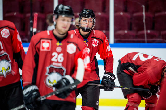 Helge Grans of Malmö Redhawks