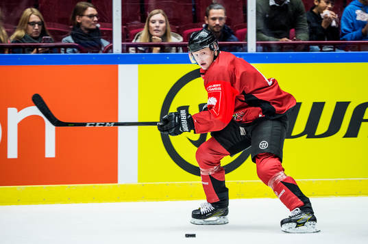 Jacob Hallberg of Malmö Redhawks