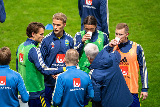 Players of Sweden