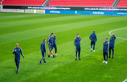 Swedish players inspecting the pitch