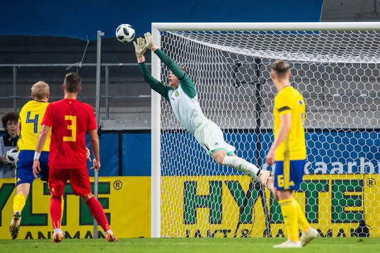 Goalkeeper Pontus Dahlberg of Sweden saves