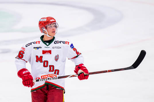 Modos Tom Hedberg deppar