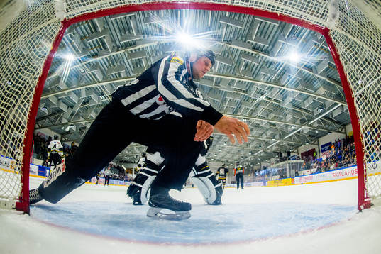 The referee