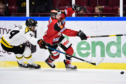 Brynäs Johan Alcén och Malmö Redhawks Carl-Johan Lerby