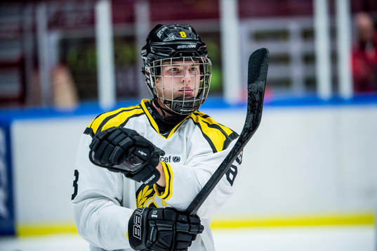 Brynäs Victor Söderström