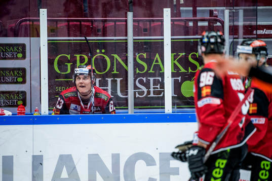 Malmö Redhawks Fredrik Händemark i utvisningsbåset