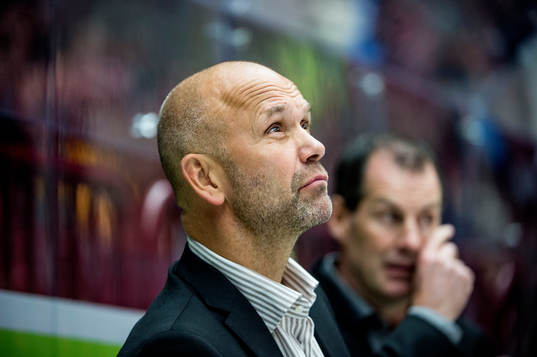 Brynäs tränare Tommy Sjödin