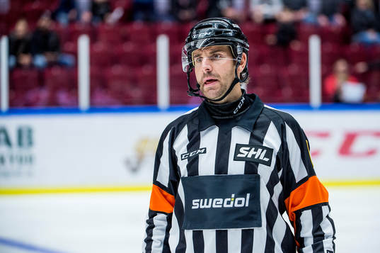 Domare Mikael Sjöqvist