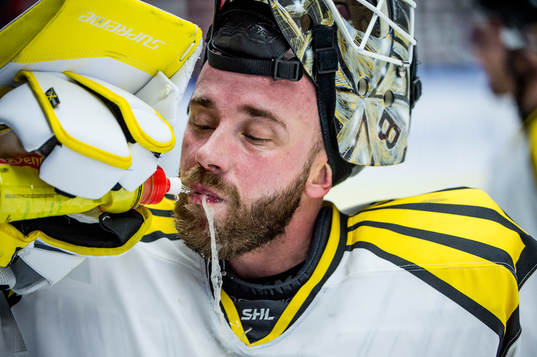 Brynäs målvakt David Rautio