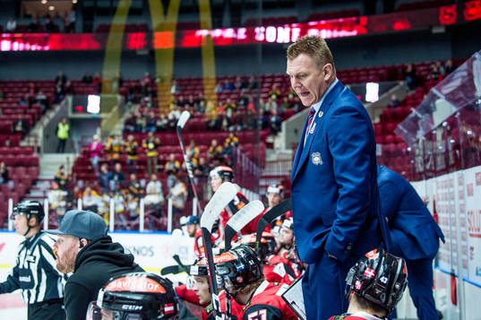 Malmö Redhawks assisterande tränare Jesper Mattsson