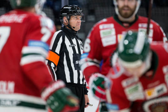Domare Sören Persson