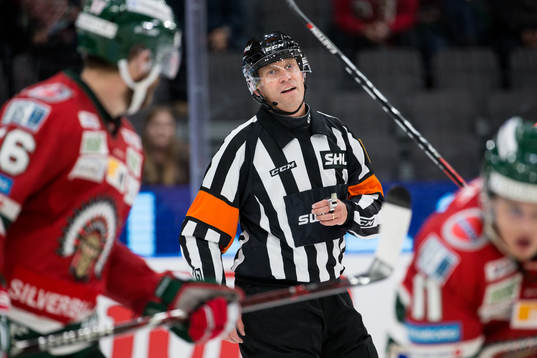 Domare Sören Persson