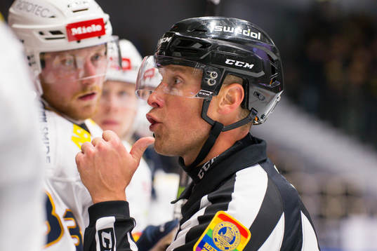 Domare Morgan Johansson