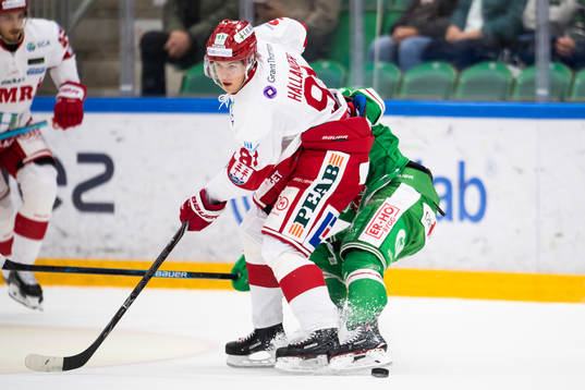Timrås Filip Hållander