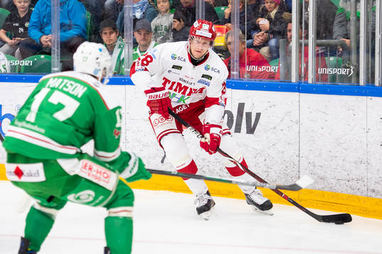 Timrås David Printz
