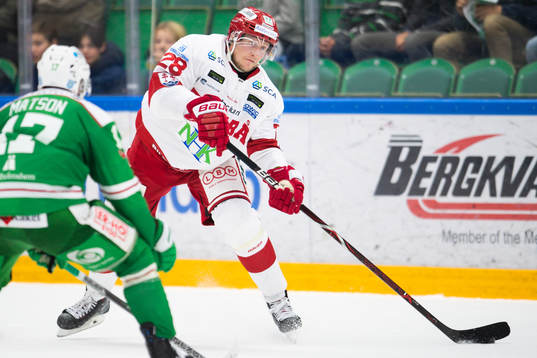 Timrås David Printz