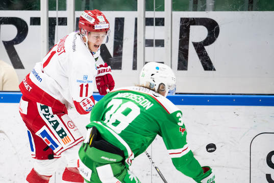 Timrås Henrik Törnqvist