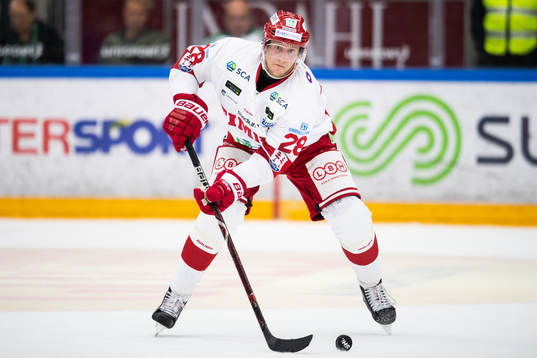 Timrås David Printz