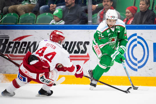 Rögles Daniel Zaar