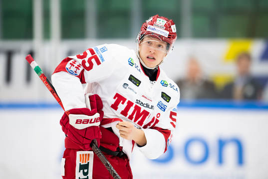 Timrås Vilmos Gallo
