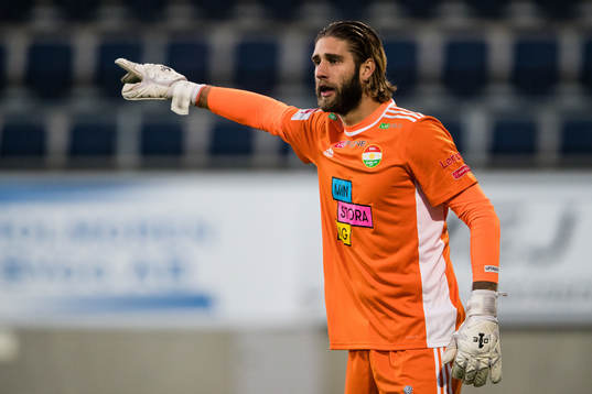 Dalkurds målvakt Stefan van de Lei