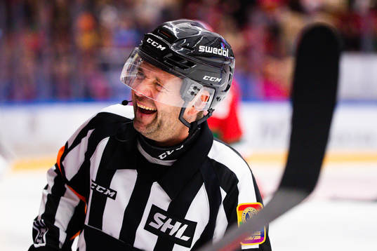 Domare Mikael Sjöqvist