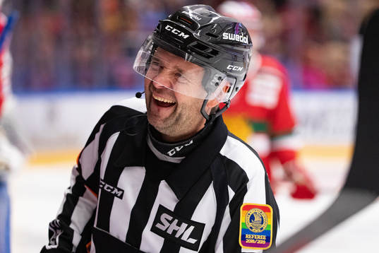 Domare Mikael Sjökvist