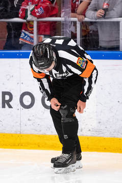 Domare Mikael Sjökvist