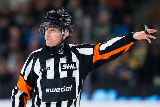 Domare Mikael Holm