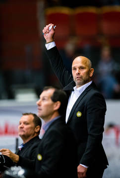 Brynäs tränare Tommy Sjödin reagerar med uppsträckt