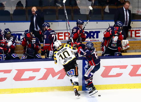 Linköpings tränare Tommy Jonsson, Daniel Olsson-Trkulja