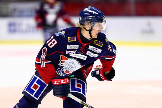 Linköpings Johan Södergran