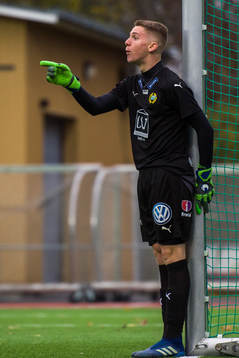 Hammarbys Amar Dzevlan