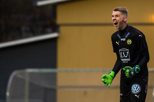 Hammarbys Amar Dzevlan