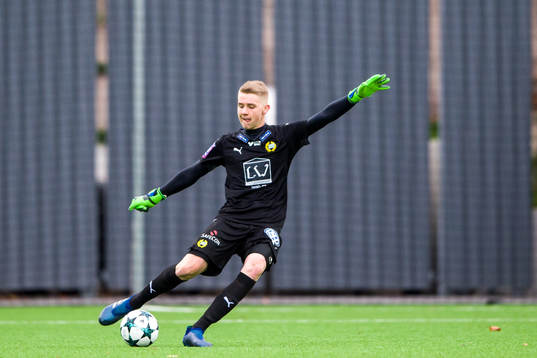 Hammarbys Amar Dzevlan