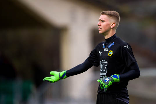 Hammarbys Amar Dzevlan