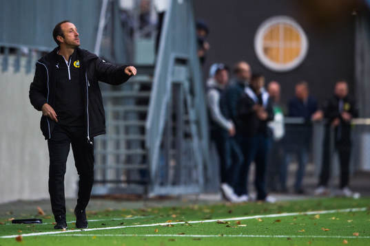 Hammarbys tränare René Bakhuis