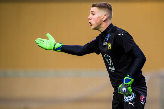 Hammarbys Amar Dzevlan