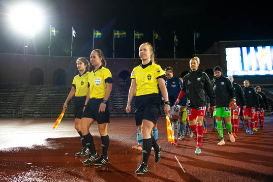 Domare Pernilla Larsson