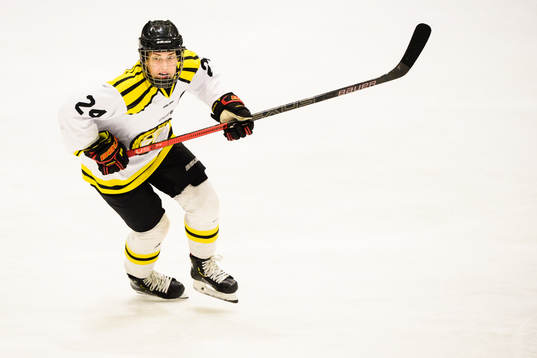 Brynäs Erika Grahm