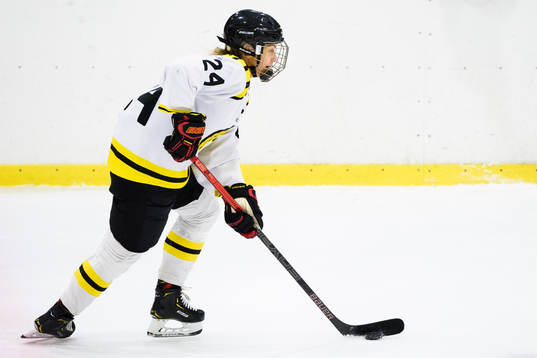 Brynäs Erika Grahm