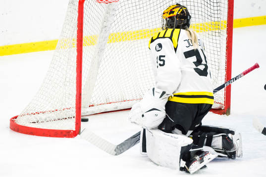 Brynäs målvakt Ellen Jonsson deppar