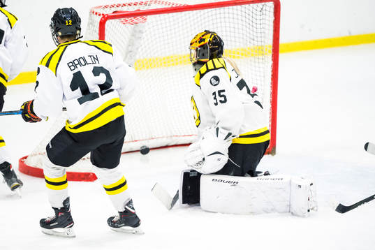 Brynäs målvakt Ellen Jonsson deppar