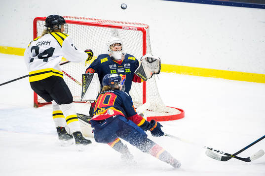 Bläddra bland fler bilder av Ishockey, SDHL, Djurgården - Brynäs
